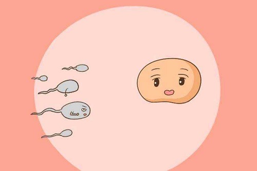选择三代试管婴儿技术规避家族遗传病？