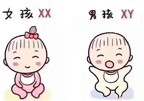 长沙试管婴儿流程是怎么做的？