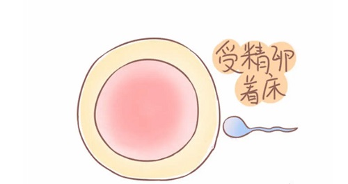 试管婴儿移植后见红是好事还是坏事？