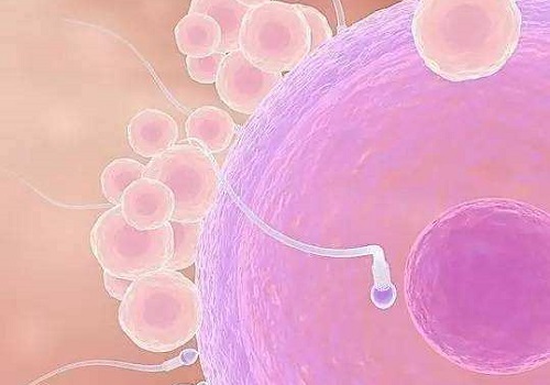 2021试管婴儿纳入医保了吗？去做试管流程咋样的？