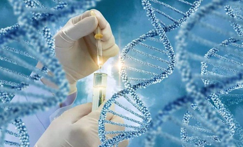 试管婴儿移植后不能信的谣言：完全躺床休息
