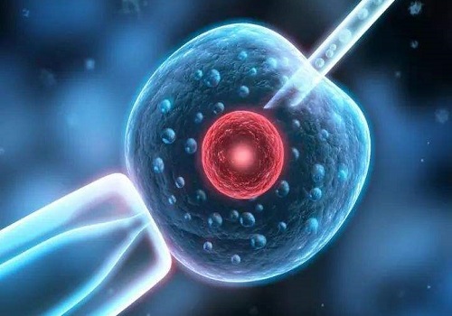 郑州三代试管婴儿医院排名好，自己去怎么找医院？