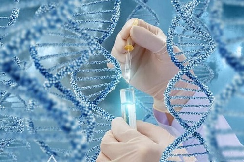 2022单身女人可以做试管婴儿吗？