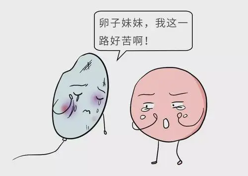 试管婴儿移植反复失败被骗了吗？