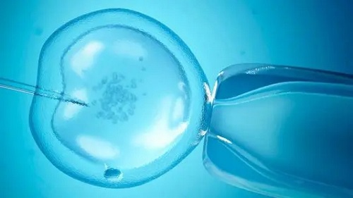 选择第三代试管一般几次成功？