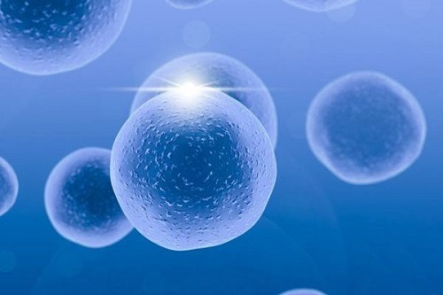 2021年36岁和37岁做试管婴儿成功率有什么区别？