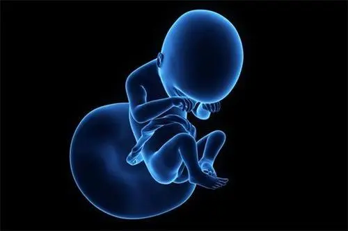 2022一代试管婴儿费用总共多少？
