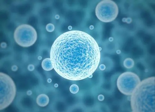 2022兰州第三代试管婴儿多少钱？