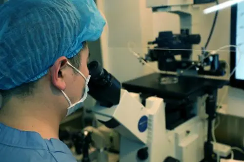 2022如果做试管婴儿大约在多少钱左右