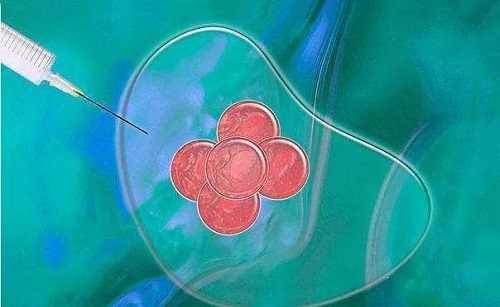 试管婴儿胚胎移植后有这些不正常反应怎么办？