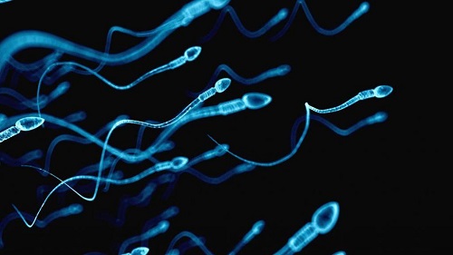 选对试管婴儿技术能避免反复流产，这靠谱吗？