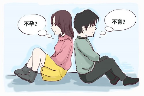 试管婴儿移植胚胎还是胚囊好，移植注意什么