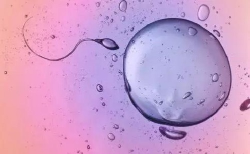 试管婴儿胚胎等级怎么分？什么是养囊？