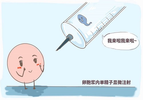 试管价格费用多少钱