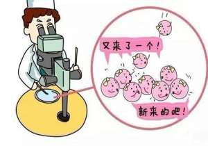 美国试管婴儿步骤及费用是多少?